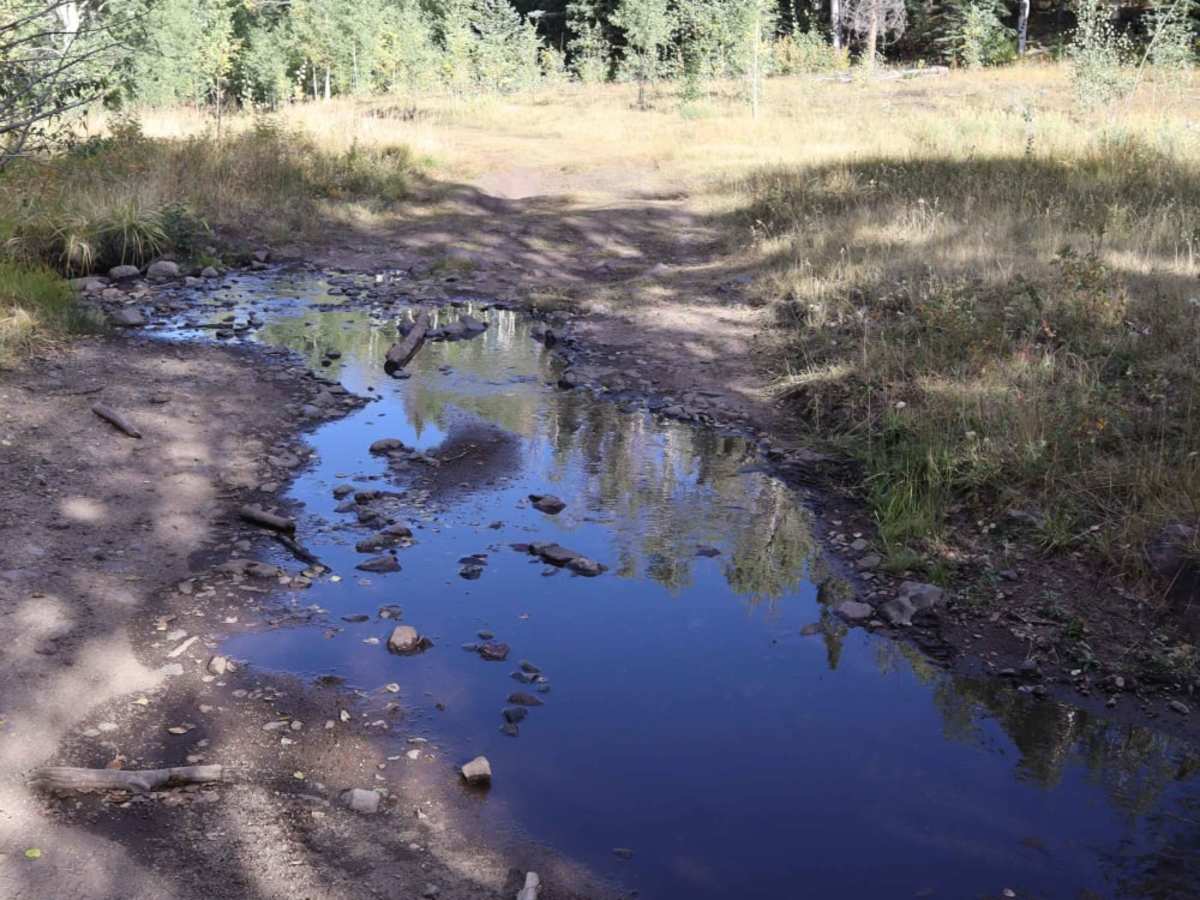 Schrader Creek photo 3