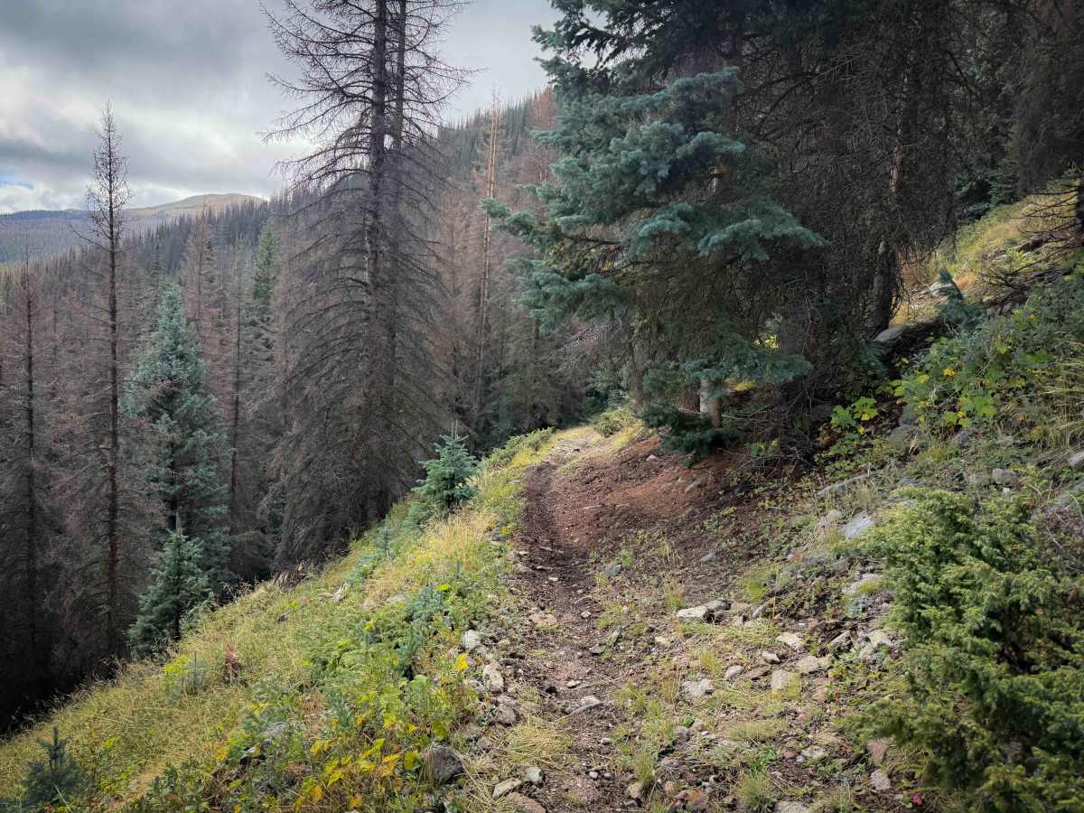 Comales Cutoff Trail  photo 4