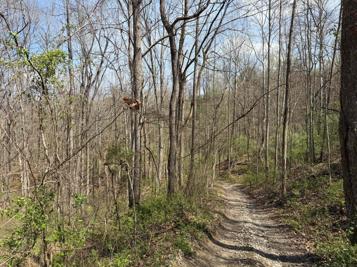 Bear Top Loop photo 4