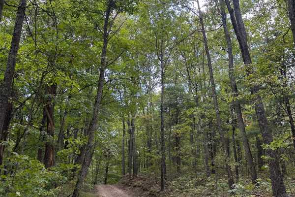Raccoon Ridge 