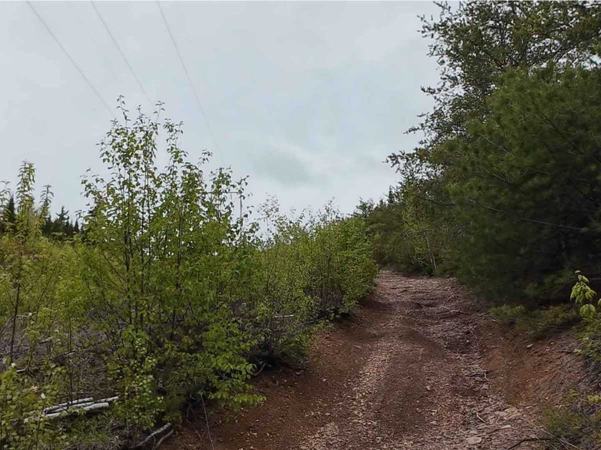 Prosser Brook Powerline Trail  photo 2