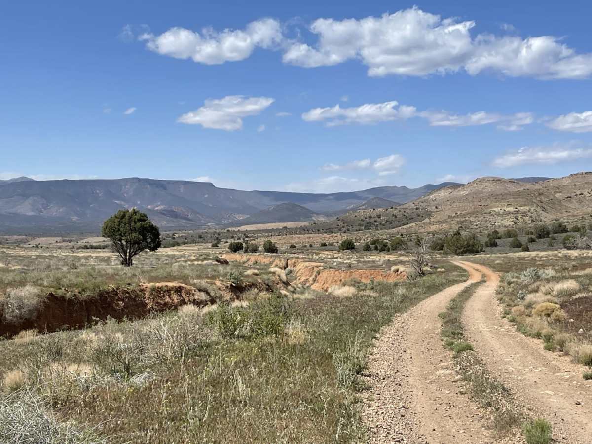 Hobble Canyon trail photo