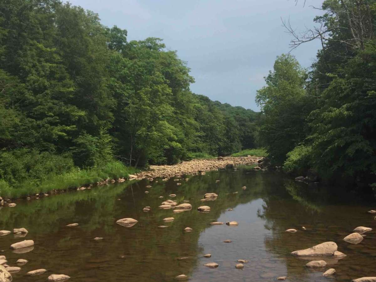 Trans American Trail WV photo 5