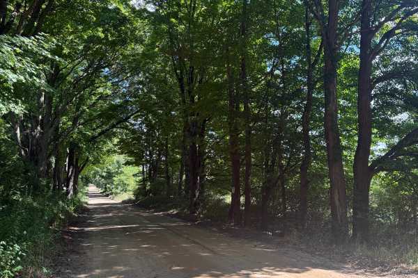 Glenn West Trail
