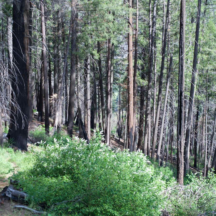 Near Poopenaut Valley Trail