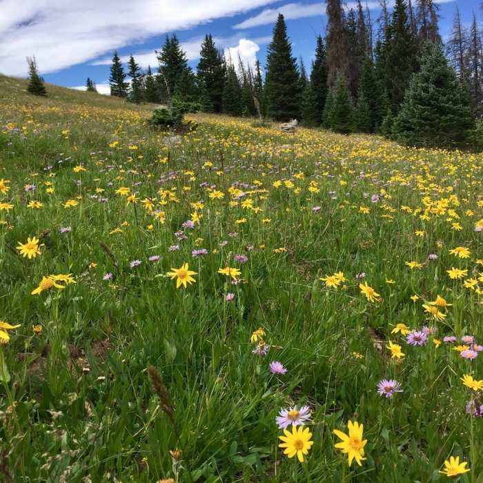 Near Beaver Creek Hourglass Loop
