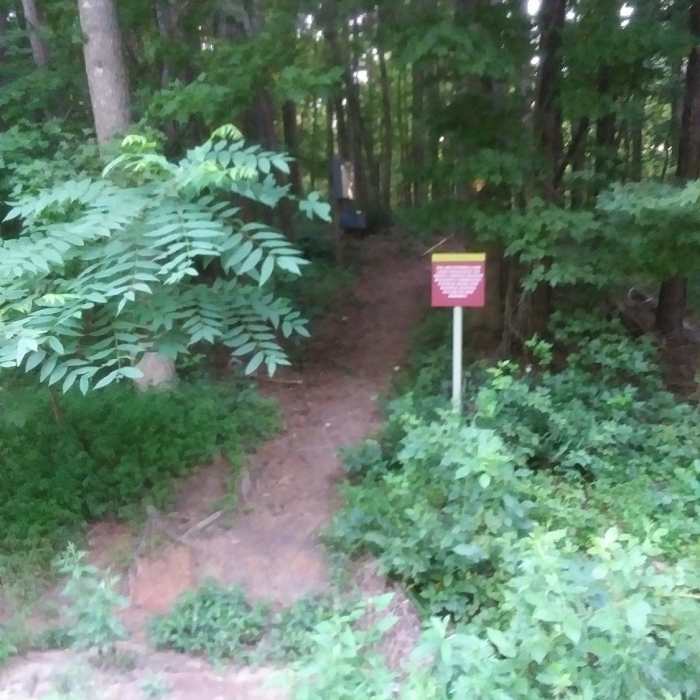 Near Falls Lake Trail - Section 1