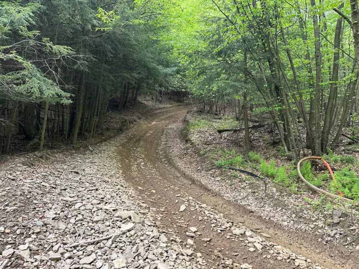 B1 Blue trail photo