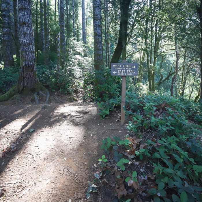 Near Humbug Mountain Trail