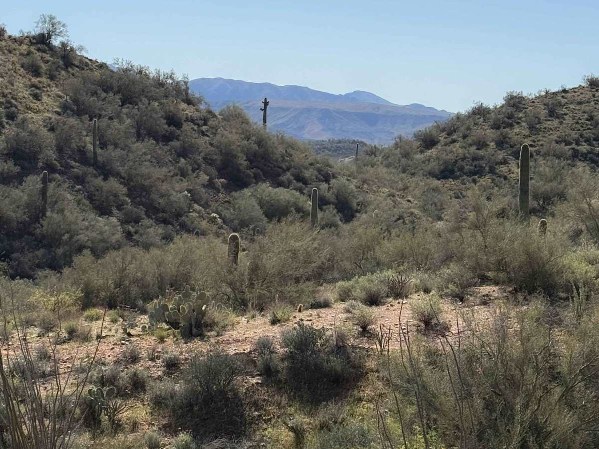 Black Canyon Trail  trail photo