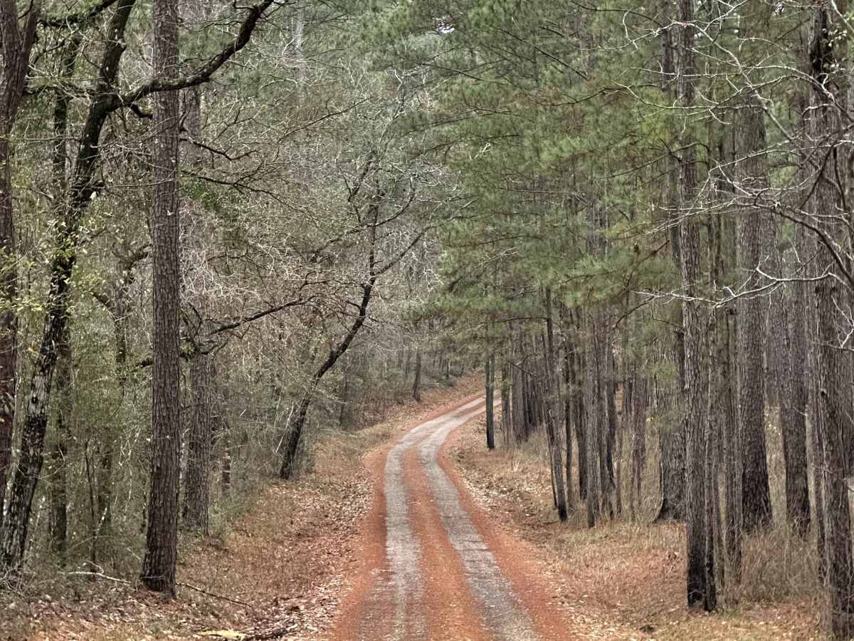 Midyett Road trail photo