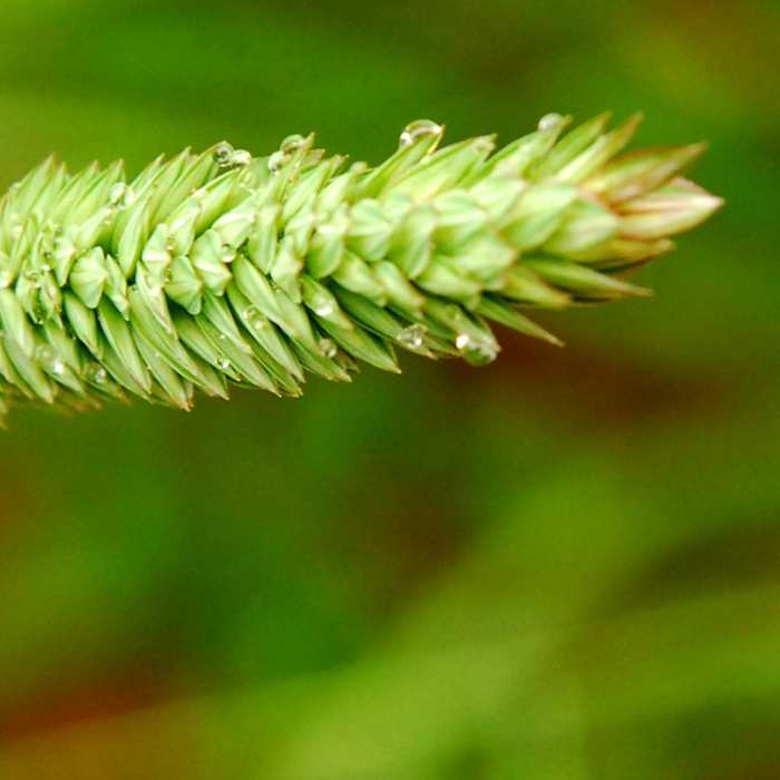 Near Muir Woods via Deer Park Fire Road