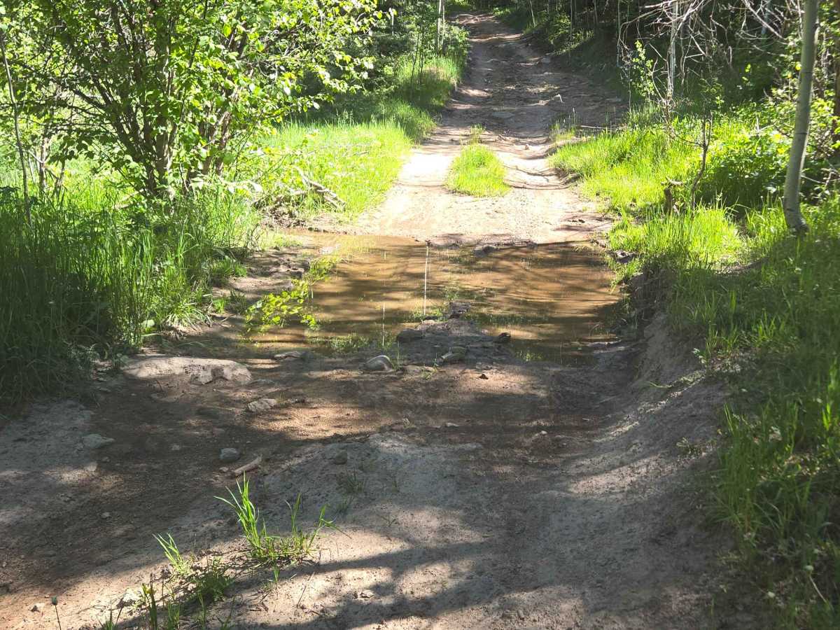 Black Mountain Road photo 3