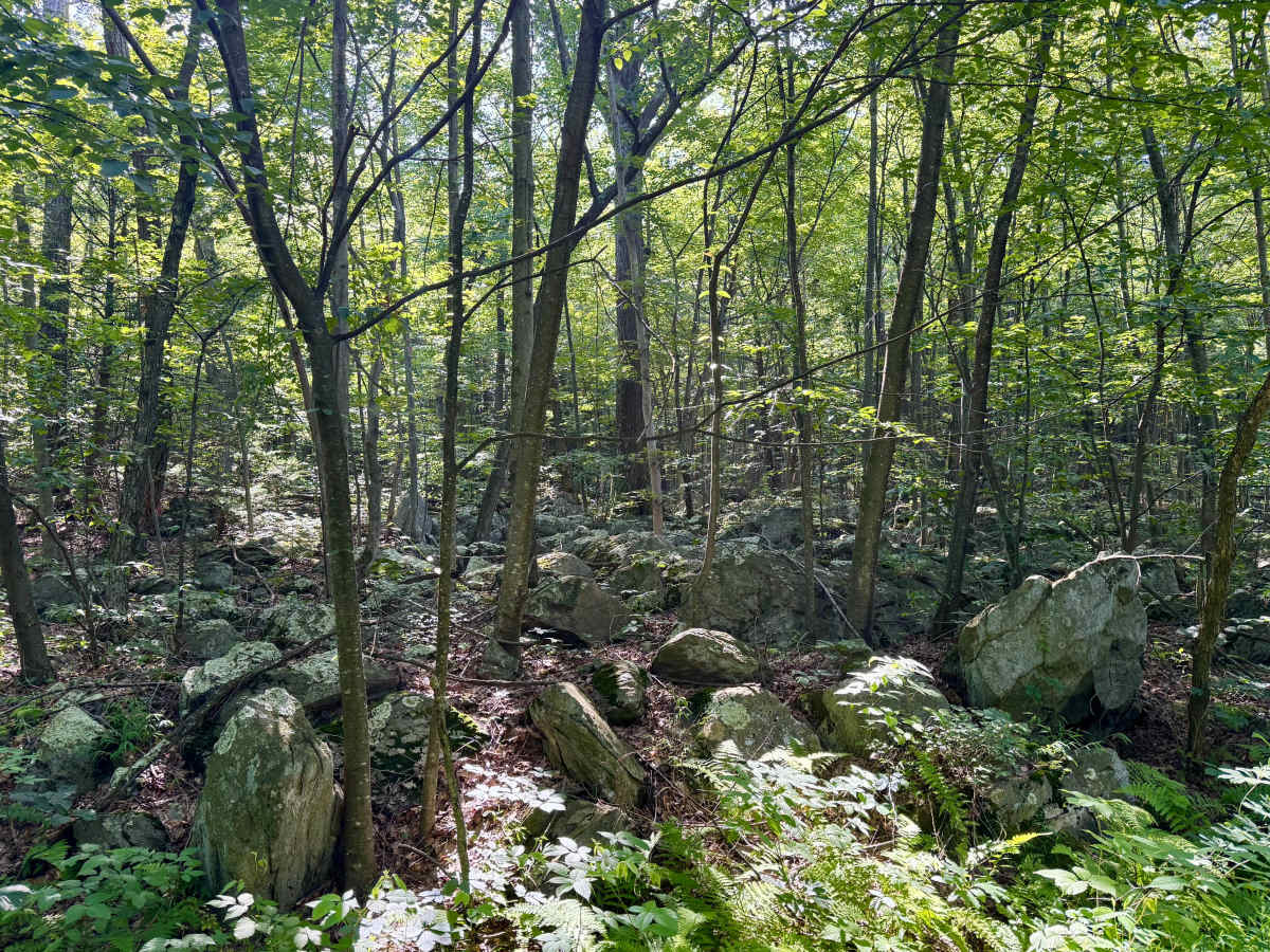 High Rock Road photo 2