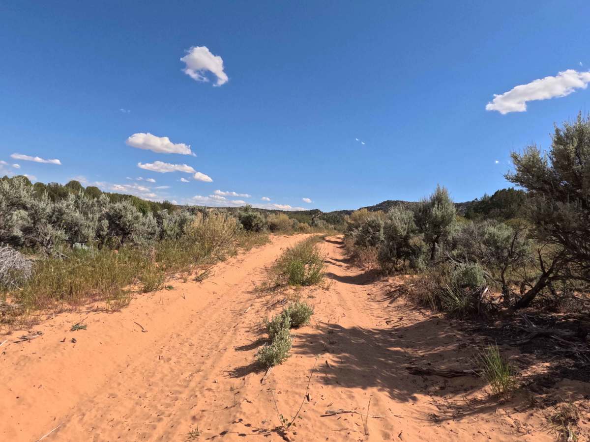 BLM 43 photo 2
