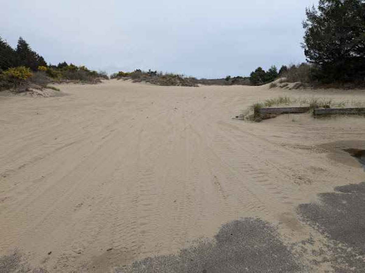Open West photo 5