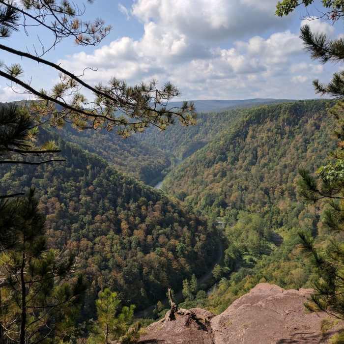 Near Pine Creek Rail Trail