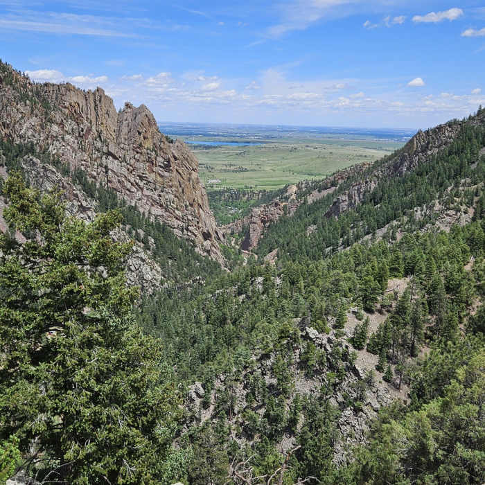 Near Rattlesnake Gulch Trail
