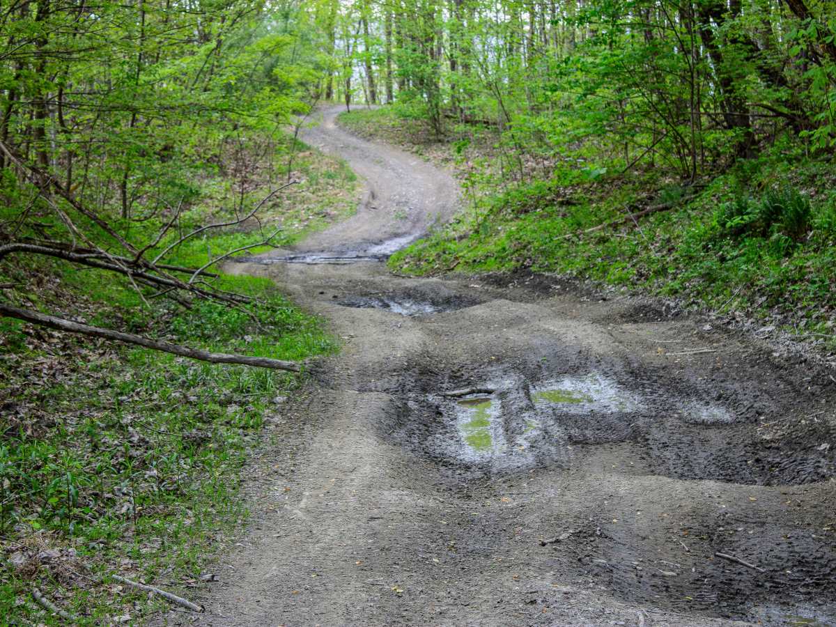 S8 Trail photo 4