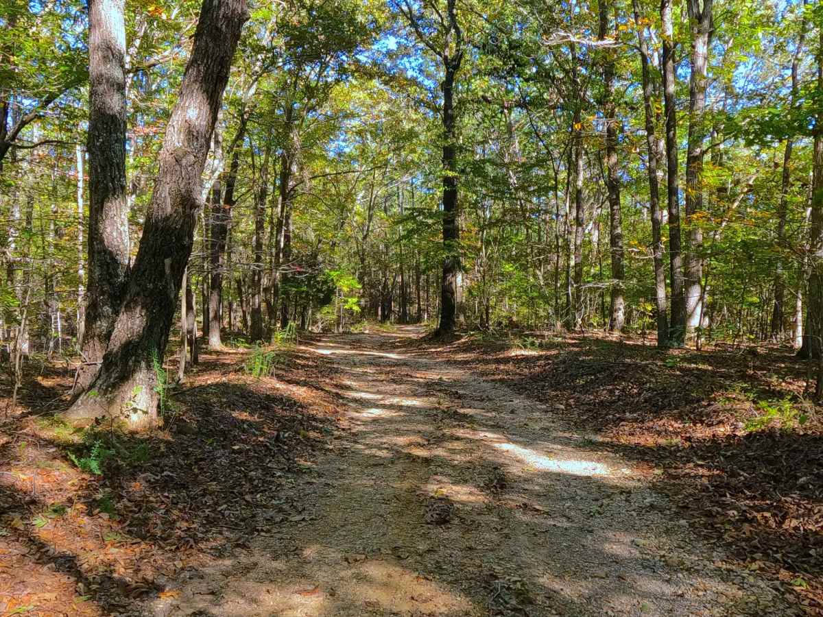 Cassidy Cemetery - FS 337 photo 6