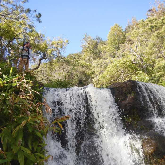 Near Waipo'o Falls via Canyon Trail from Pu'u Hinahina Near Waipo'o Falls via Canyon Trail from Pu'u Hinahina