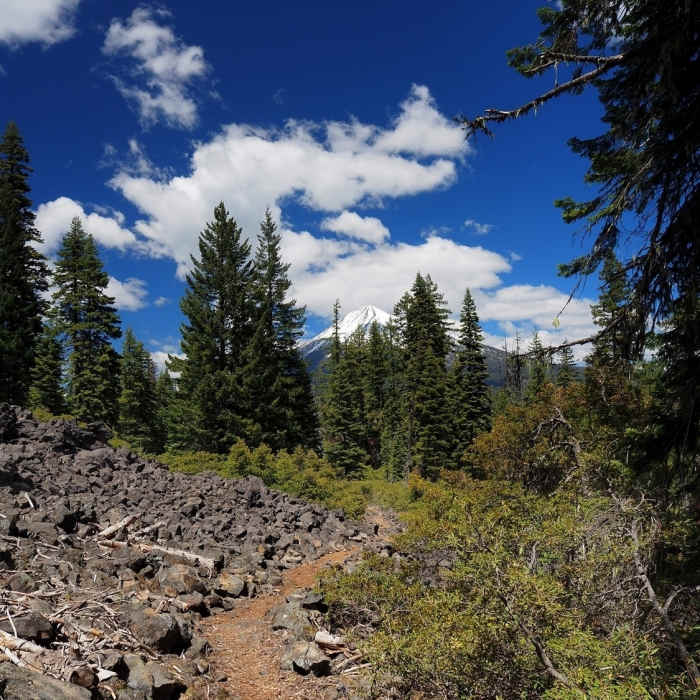 Near Brown Mountain Trail #1005