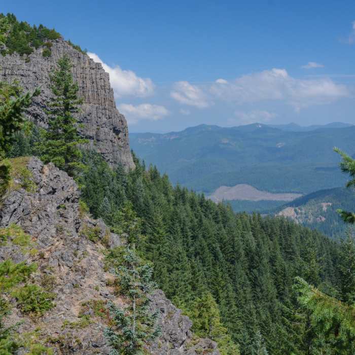 Near Summit Trail