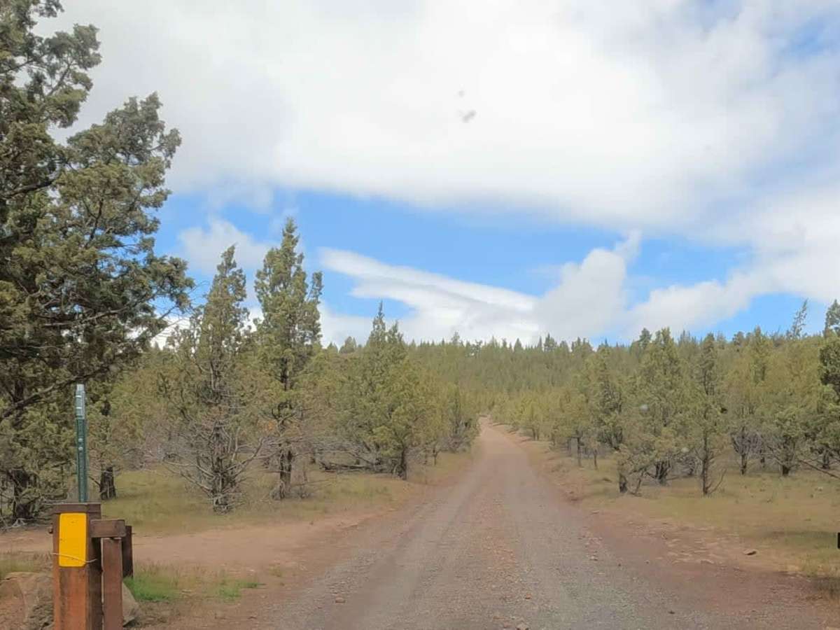 Alder Springs photo 5