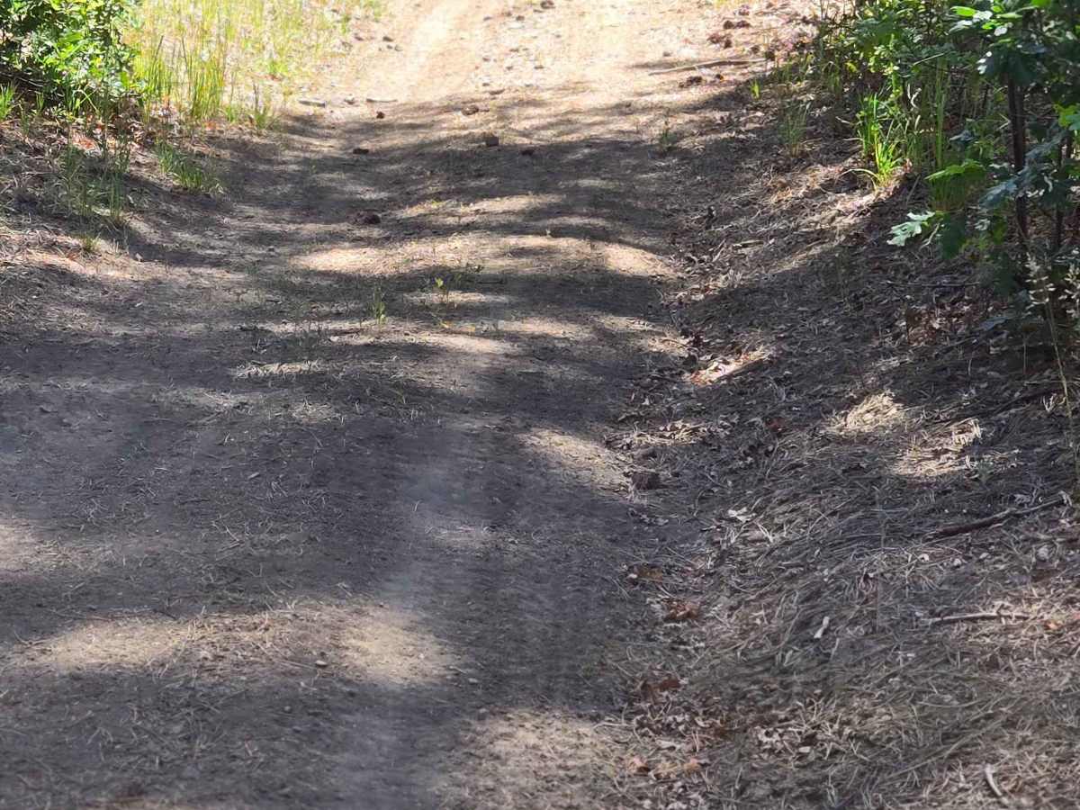 Little Bull Creek Trail - FS 683 photo 3