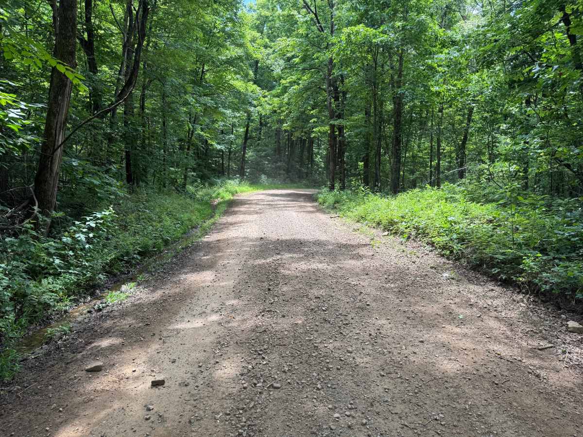 Oark Road photo 3
