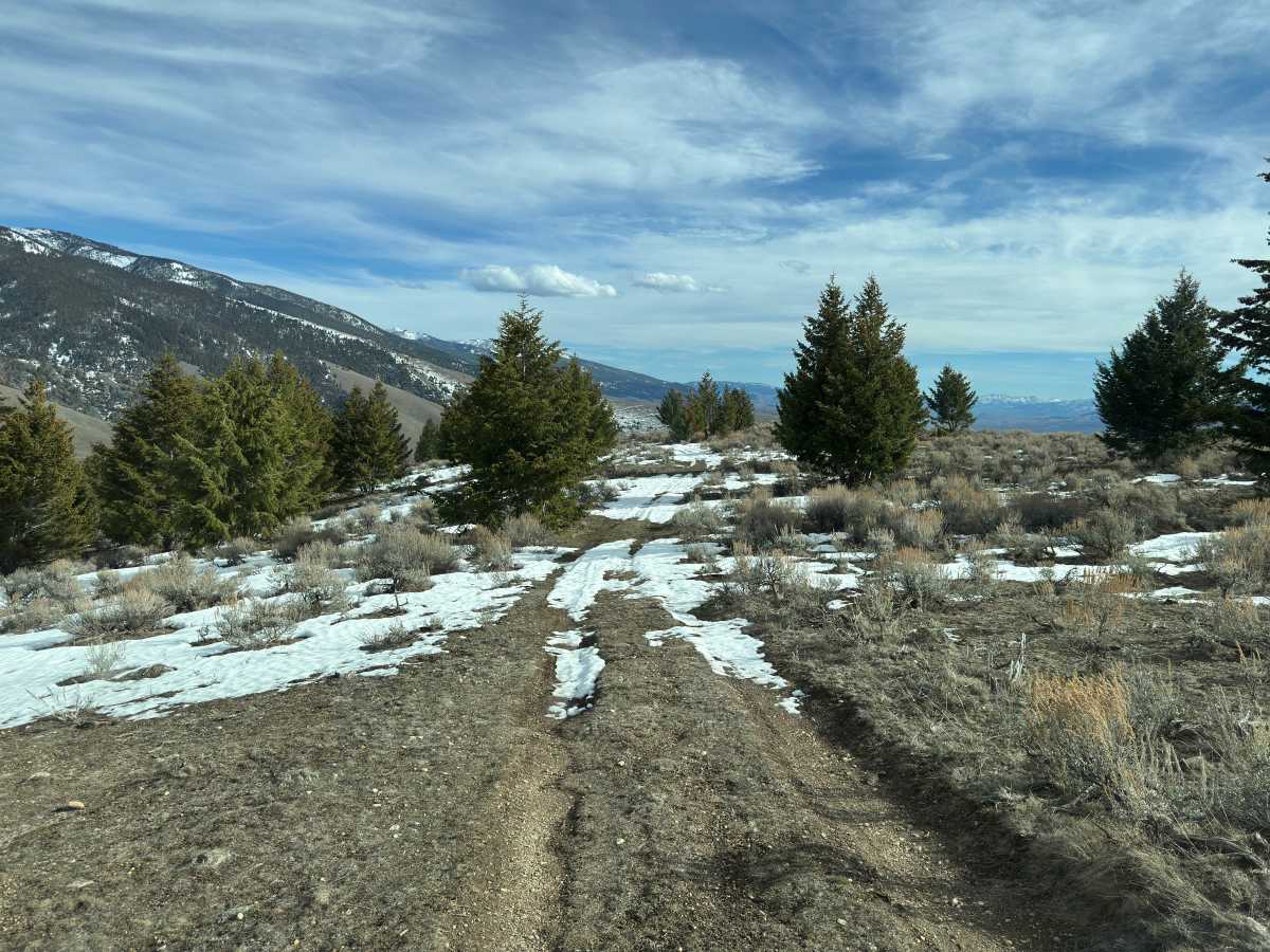 BLM Trail 136 photo 3