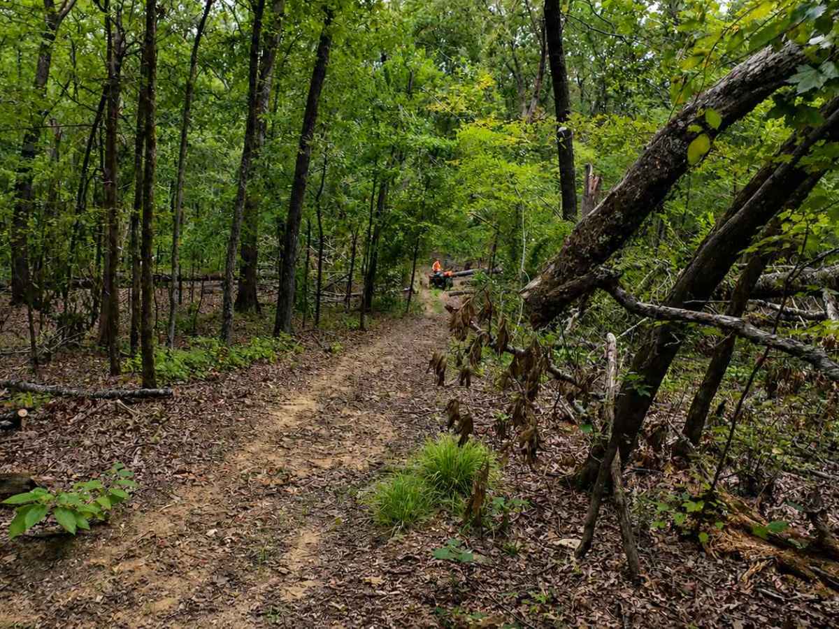 Thompson Creek Trail photo 2