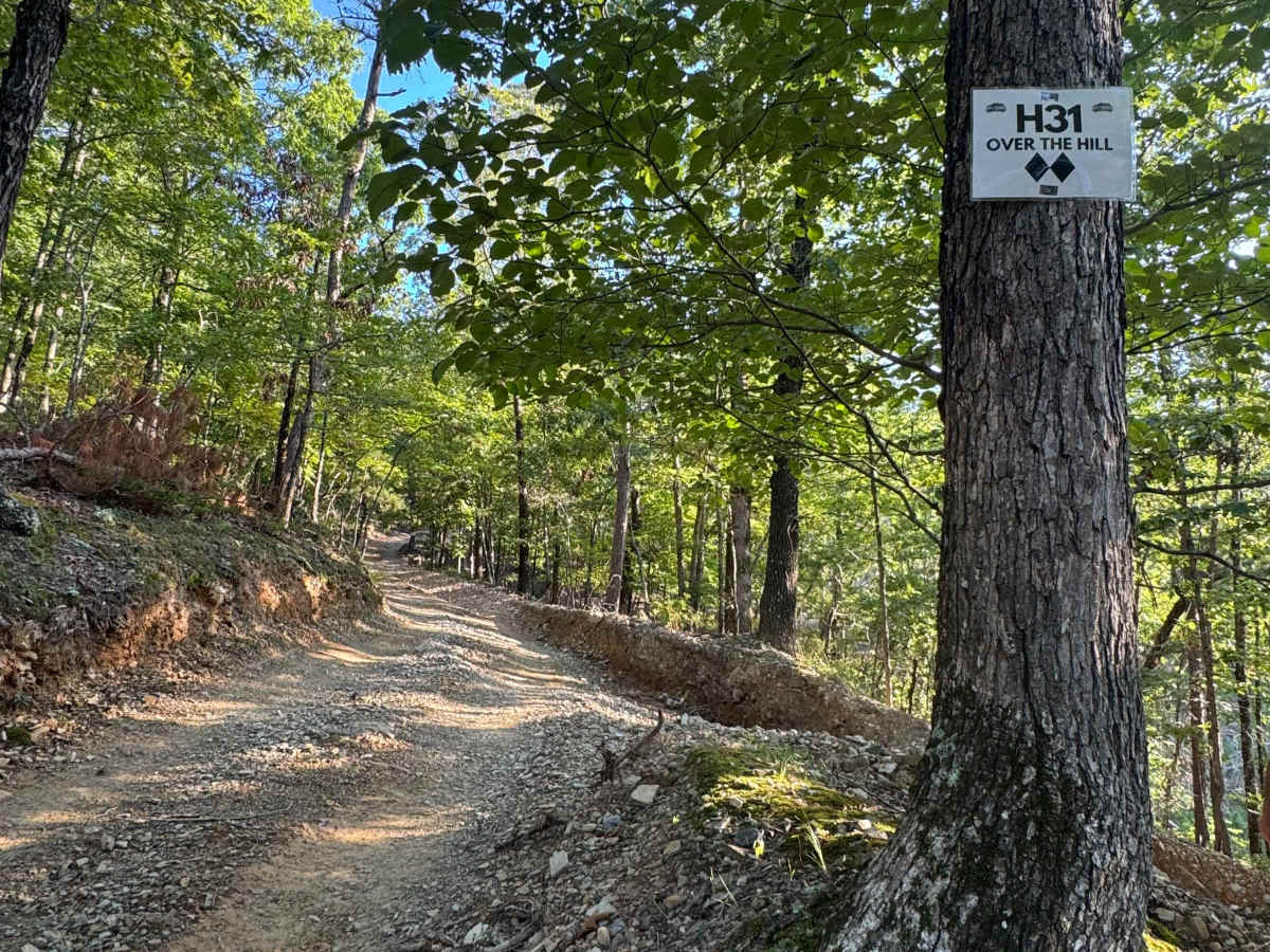 H31 Over the Hill photo 4