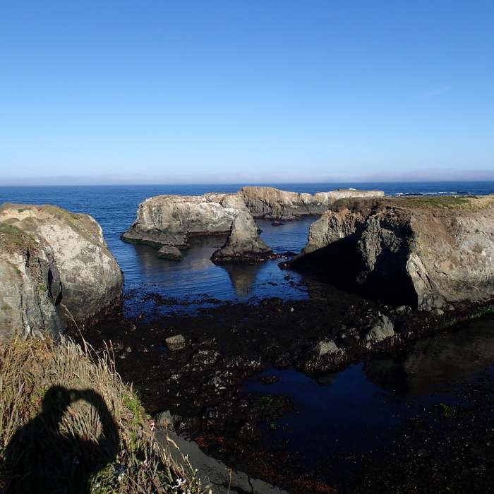 Near Mendocino Headlands Coastal Trail