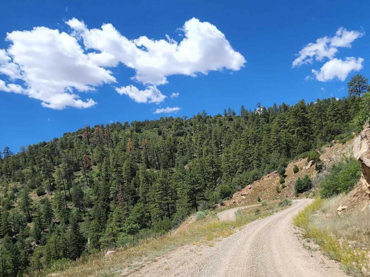 Dry Canyon photo 6
