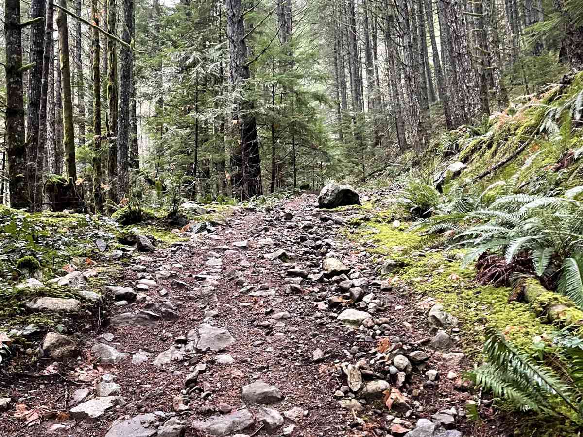 Trials Trail photo 6