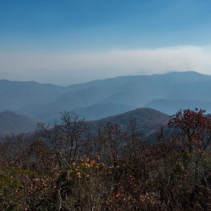 Near Appalachian Trail: Burningtown Gap to Winding Stair Gap