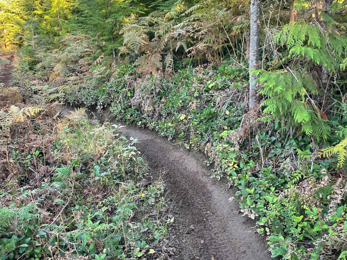 Hayden's Trail photo 2