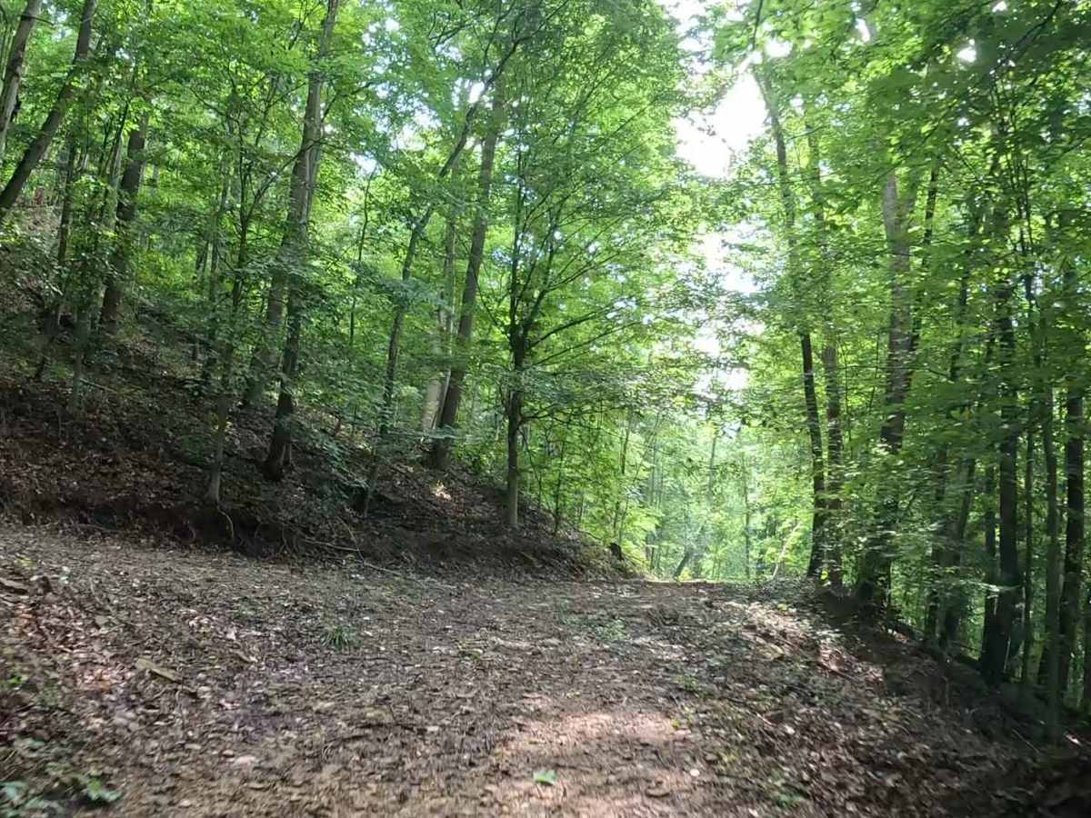 Q14A trail photo