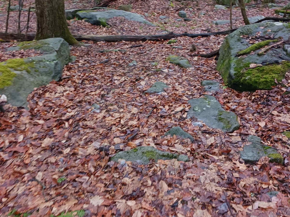 OHV 42 - Rock Run Recreation Area photo 2