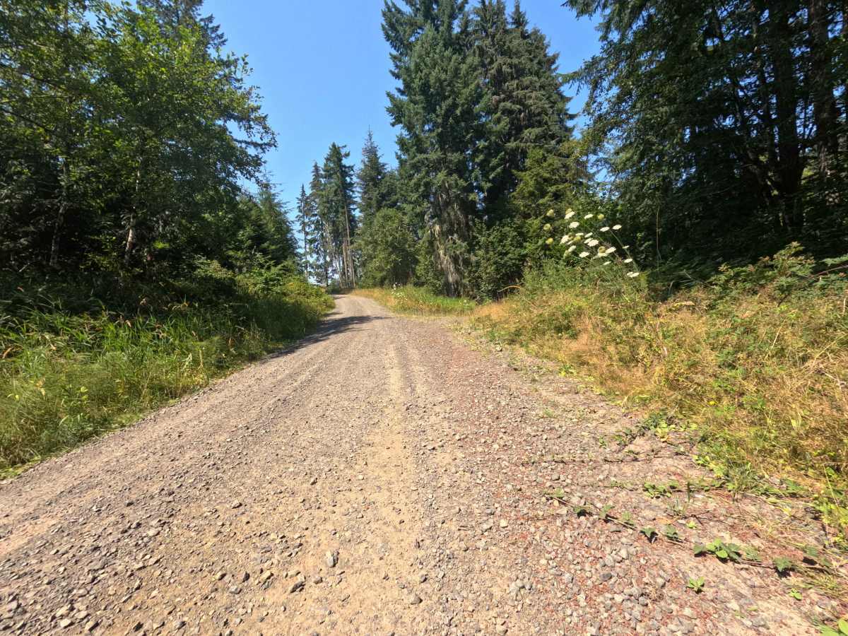 W-1300 trail photo