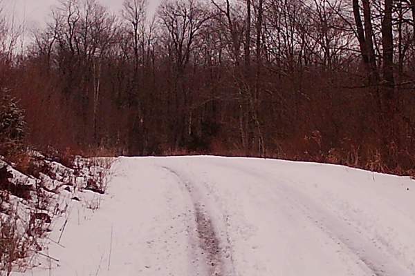 New Pond Road