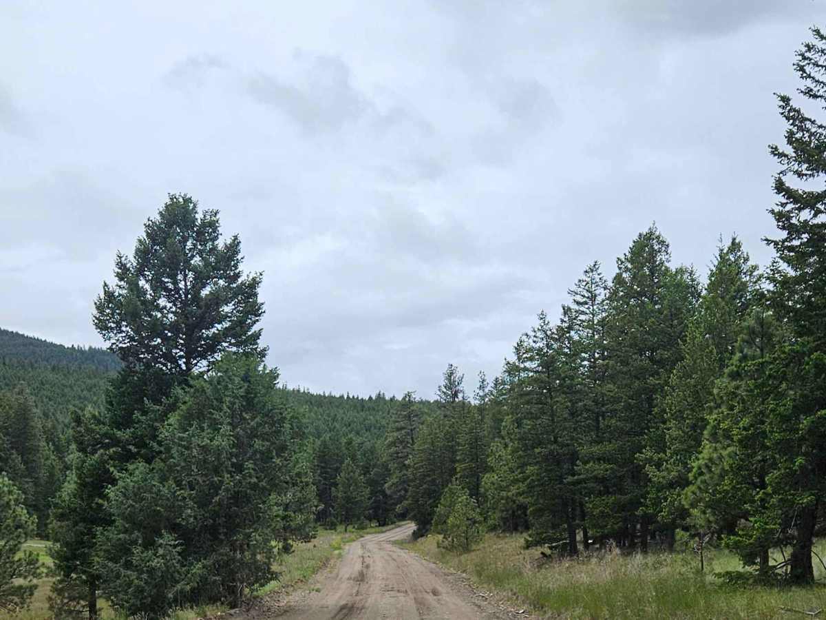 Scuitto Lake Road trail photo