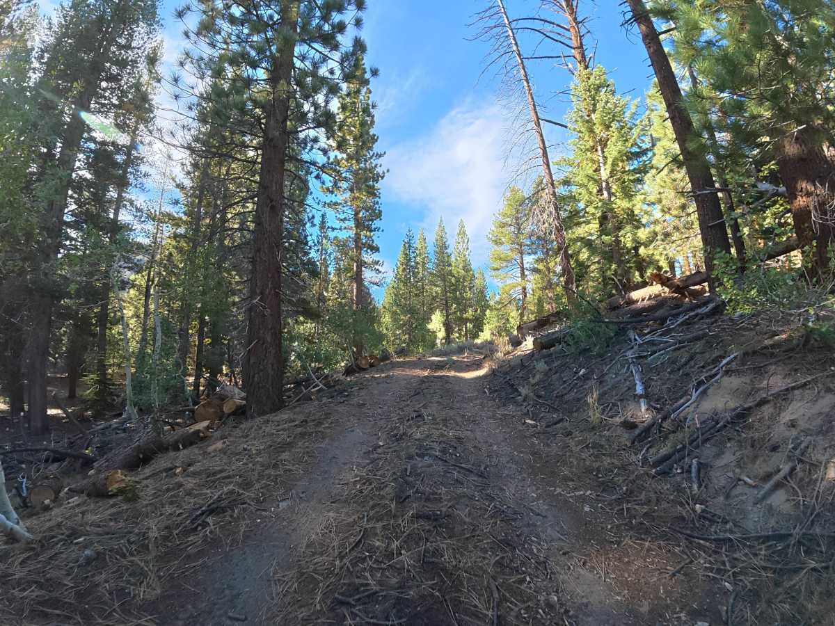 FS 3S22A trail photo