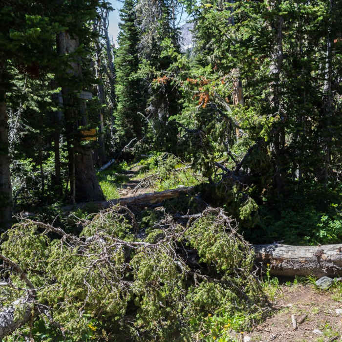 Near Glacier Lake and Conical Peak