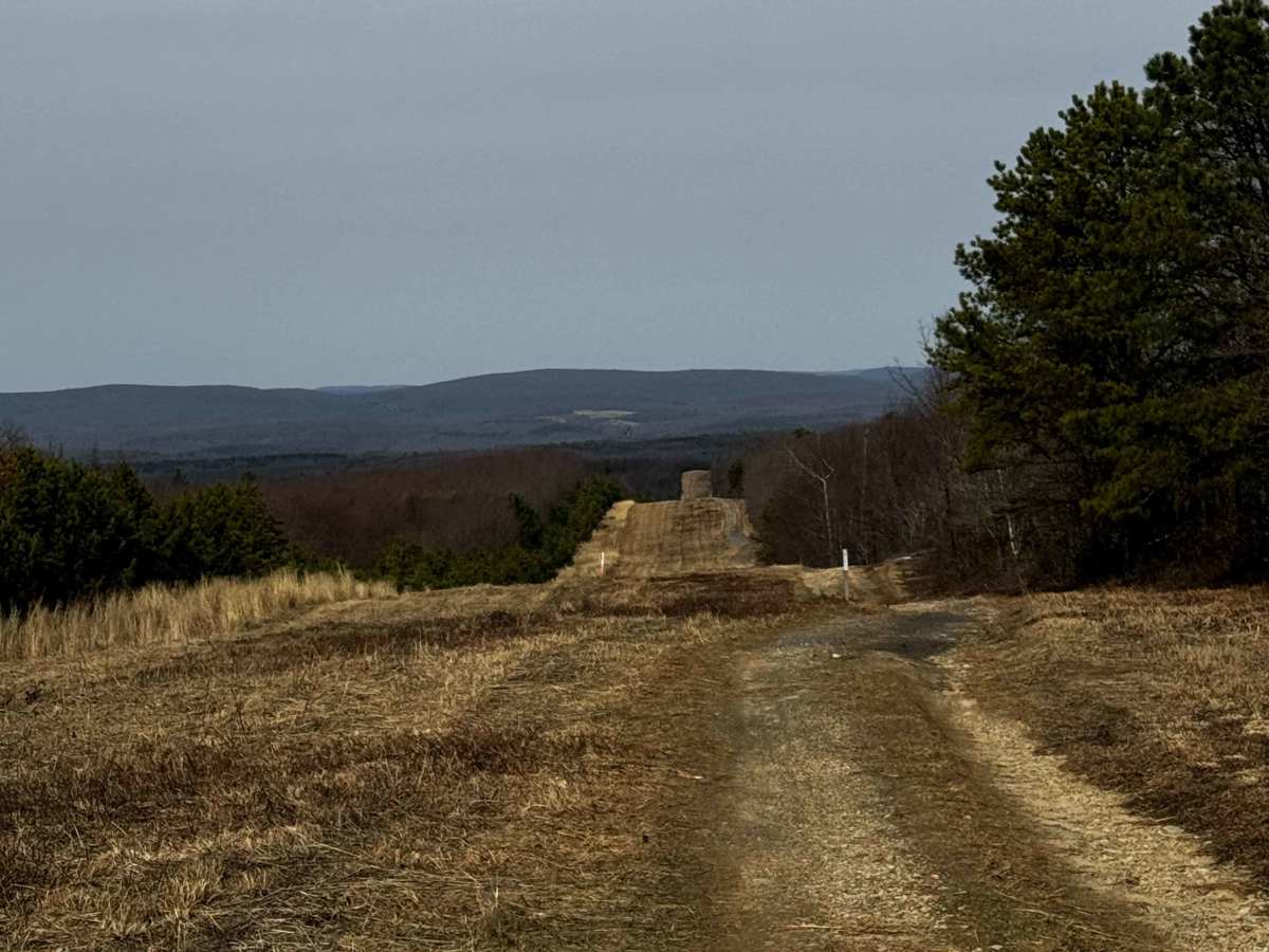 Pipe Line Drive photo 5