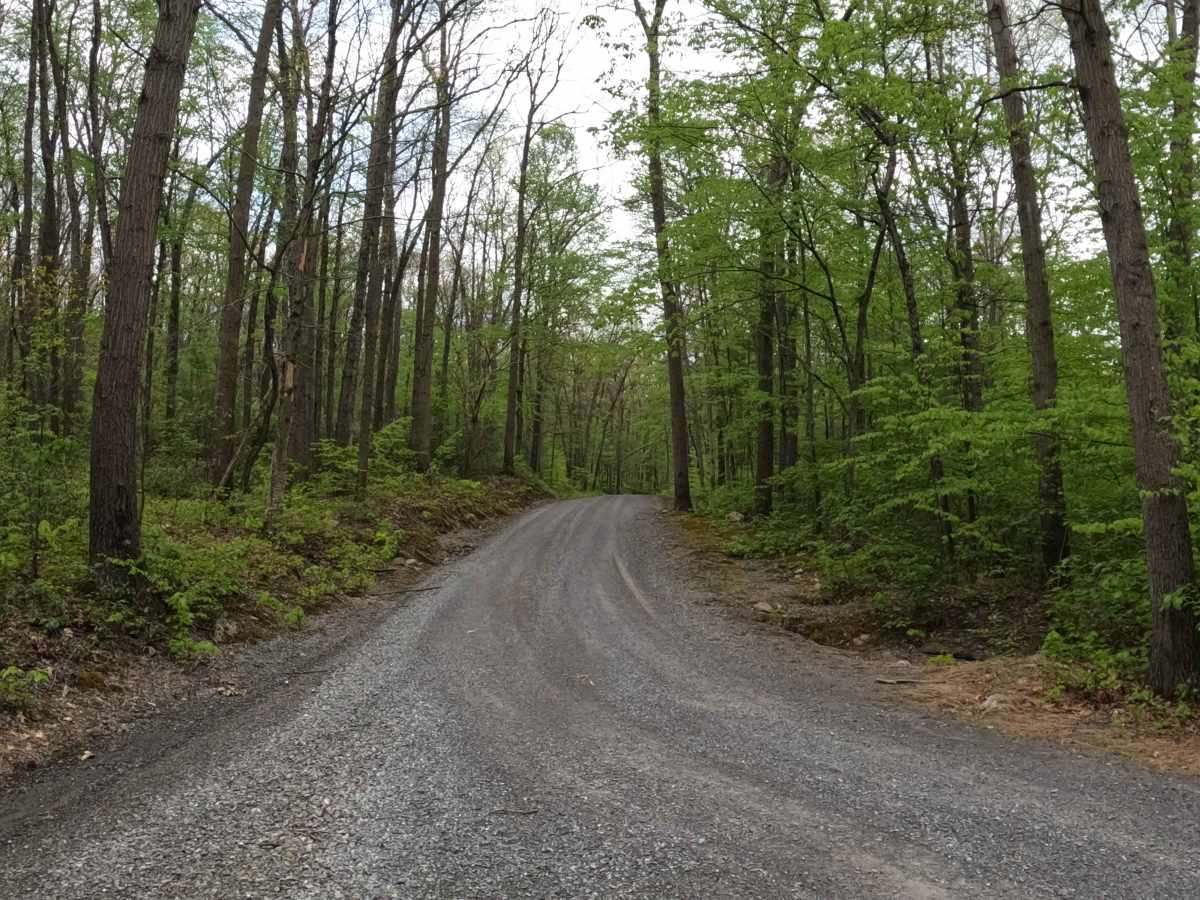 Pine Ridge Road photo 2