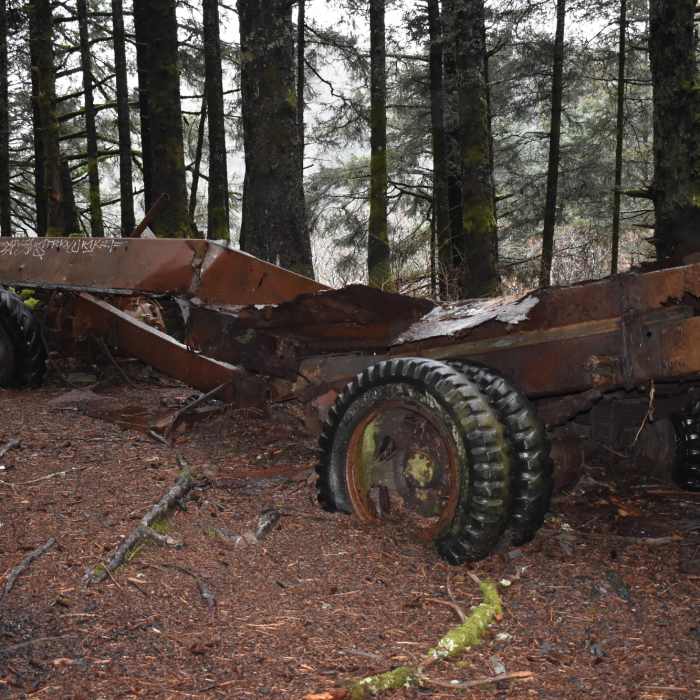 Relic Near Island Trail