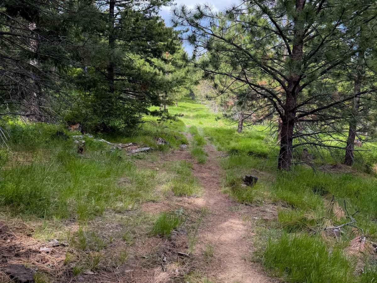 Round About - Trail 406 photo 3