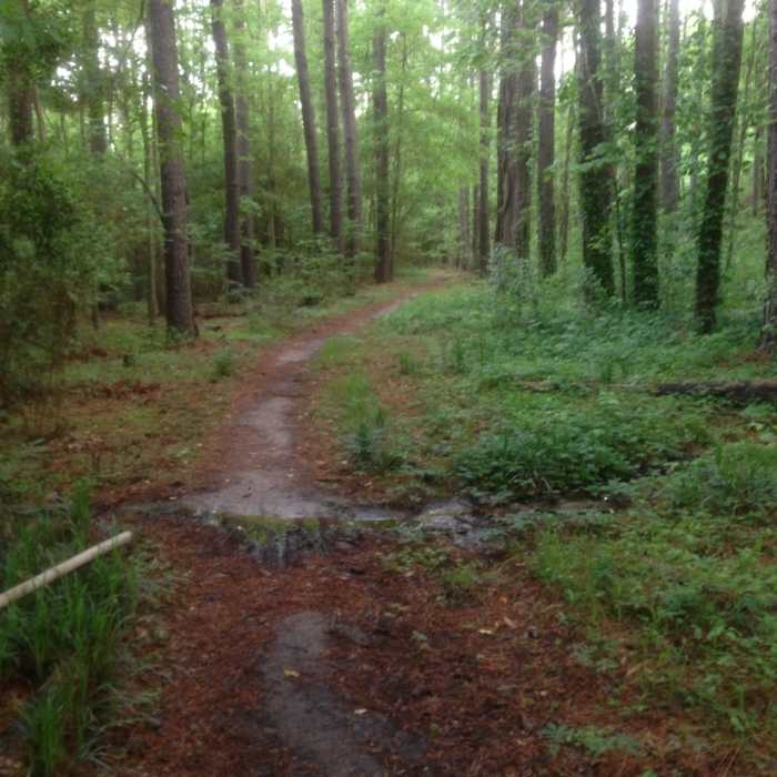 Near SFA Recreational Trails & Gardens